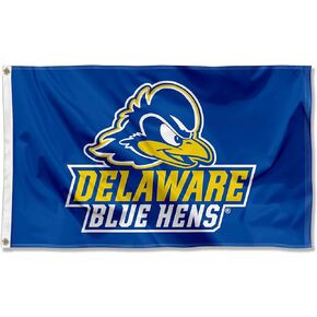 College Flags & Banners Co. Delaware Blue Hens Flag