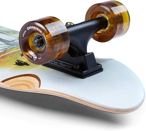 لوح التزلج Arbor Collective Pilsner Photo Cruiser الكامل in Kuwait