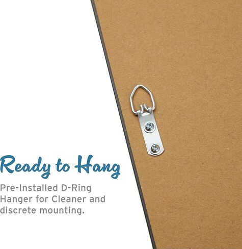 Madison Park Pet Wall Art, Funny Animal Canvas Wall Decor for Bedroom, Printed And Stretched, Framed, Ready To Hang, Classic Parody, Study, Living Room Décor - Bohemian Cat Pet Portrait in Kuwait