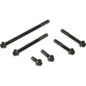 ARP 1541503 Black Oxide Timing Cover and Water Pump 12-Point Bolt Kit