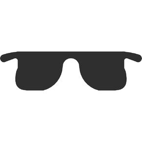 Slipins Disposable Sunglasses Inserts, for use with eyeglasses (12/pkg)