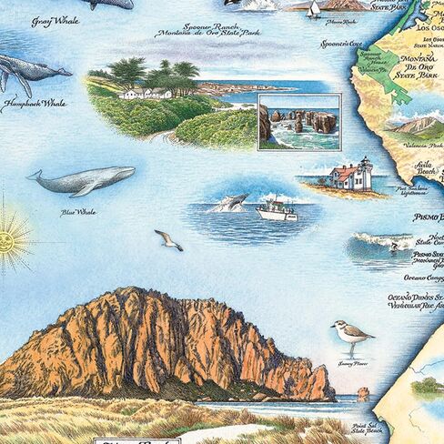 Isle Royale National Park Map Cardboard Jigsaw Puzzle - 1000 Pieces, Hand-Illustrated - Educational, Family Activity, Ages 7+, Includes Poster - 25.4 x 19.8 in Saudi Arabia