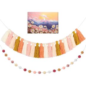 2pcs Boho Tassel Garland,Pom Pom Tassel,6.5 Feet Long 20 Balls Felt Ball Garland,Colorful Wall Hanging Party Decorative Banner Pastel,Home Decoration Wedding Birthday Baby Shower