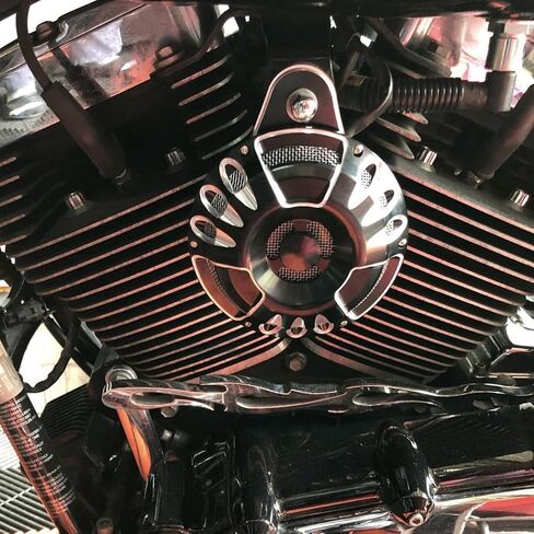 CNC Billet Aluminum Horn Cover for Harley Big Twin, Street Glide,Road King, Electra Tour Glide CVO, 1991-2024 (Beveled style, BLACK) in Saudi Arabia
