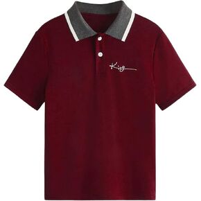Boy's Color Block Letter Embroidery Golf Shirt Short Sleeve Button Front Collared Tops
