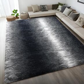 DweIke Dark Grey Area Rugs for Living Room, 4x6 Fluffy Gray Rug for Kids Girls Boys Bedroom, Soft Plush Fuzzy Furry Bedside Carpet, Shaggy Throw Carpets for Dorm Nursery Home Decor Aesthetic