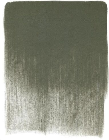 PanPastel Ultra Soft Artist Pastel, Permanent Green Tint in Kuwait