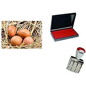 Egg Dater KIT - Includes 3mm Rubber Date Stamp and Ink pad containing Egg Safe Ink - RED