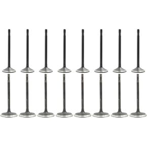 DNJ VK161105 Exhaust Intake Valve Kit for 2002 to 2007 Dodge, Jeep, Grand Cherokee, Dakota, V8 4.7L SOHC 16V EV1105 X8 IV1100 X8