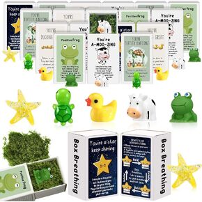25 Set Bulk Gifts End of Year Student Teacher Graduation Gifts Emotional Support Desk Pets Inspirational Cute Resin Mini Ornaments with Cheer up Thank You Card Box (Capybara)