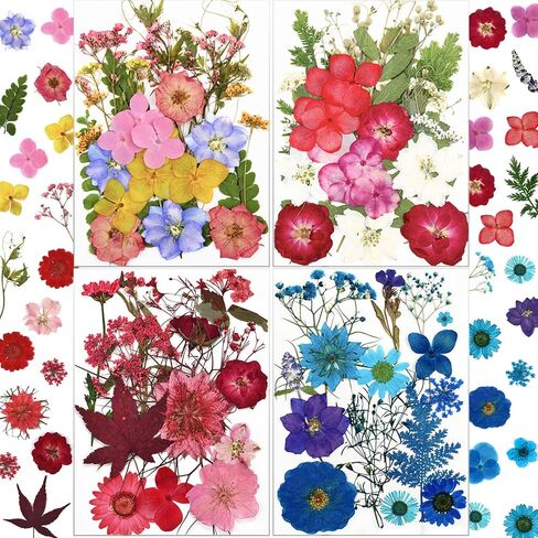 85 أجهزة كمبيوتر مجففة زهور مضغوطة لقوالب الراتنج ، وأوراق الزهور الطبيعية الحقيقية للحرف اليدوية ، والأظافر ، والمجوهرات ، والصابون وصنع الشموع in Kuwait