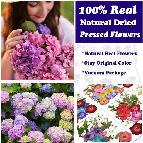 85 أجهزة كمبيوتر مجففة زهور مضغوطة لقوالب الراتنج ، وأوراق الزهور الطبيعية الحقيقية للحرف اليدوية ، والأظافر ، والمجوهرات ، والصابون وصنع الشموع in Kuwait