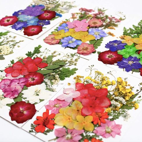 85 أجهزة كمبيوتر مجففة زهور مضغوطة لقوالب الراتنج ، وأوراق الزهور الطبيعية الحقيقية للحرف اليدوية ، والأظافر ، والمجوهرات ، والصابون وصنع الشموع in Kuwait
