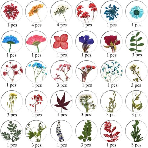 85 أجهزة كمبيوتر مجففة زهور مضغوطة لقوالب الراتنج ، وأوراق الزهور الطبيعية الحقيقية للحرف اليدوية ، والأظافر ، والمجوهرات ، والصابون وصنع الشموع in Kuwait