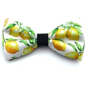 Men Beautiful Sunset Sunflowers Bow Tie Party Bowtie Wedding Lemon
