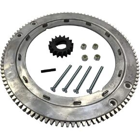 696537 Flywheel Ring Gear Compatible with Briggs and Stratton 399676 392134 Ref Oregon 31-056