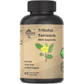 ملحق Tribulus Terrestris للرجال والنساء الداعم للطاقة والحيوية والقدرة على التحمل والأداء (حزمة 60 كبسولة)