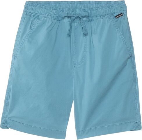 Quiksilver Boys' Taxer Short (Big Kids) in Saudi Arabia