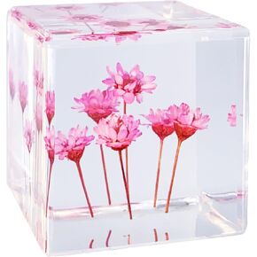 Acrylic Resin Cube Paperweight with Preserved Flower Eternal Flower Starflower Inside 4cm Cube Green Aesthetic Shelf Plants Decoration Desk Trinkets Decor for Girlfriend