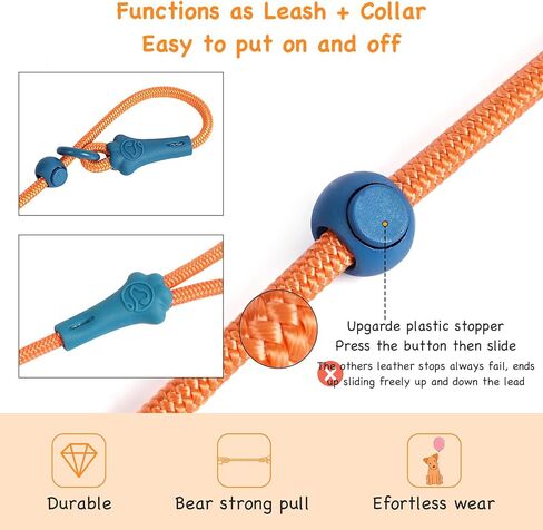 Slip Lead Dog Leash Dog Leash for Small Medium Large Dogs 6Ft No Pull Dog Leash 8 Colors Classic Dog Leash Dog Rope (deep Green) in Saudi Arabia