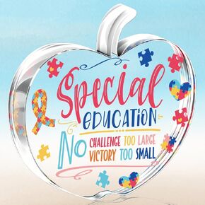 Special Education Teacher Gifts Autism Teacher Appreciation Gifts for Teaching Retirement End of Year Office Home Desk Shelf Tabletop Decor Acrylic Sign