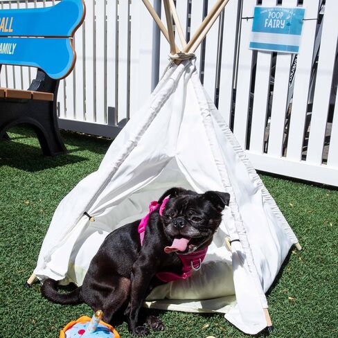 Pet Teepee with Soft Cushion for Dogs, Cats, Rabbits and Puppies, Portable Pet Tent, White Dog Tent. Pet House with Bed, Washable Dog Teepee, Portable Dog House (White) in Kuwait