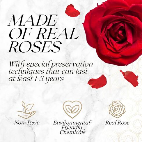 الورود المحفوظة في صندوق - هدايا لها ، زوجة وأمي ، زهور الورد إلى الأبد ديكور هدية عيد ميلاد ، احصل على باقة زهرة جيدة في صندوق أبيض مع غطاء - أحمر - 16 قطعة in Kuwait