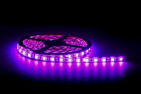 GG Grand General 70595 Premium Flexible 16ft 5050 LED Strip Light Waterproof (for Interior Use, Purple) in Saudi Arabia