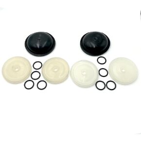 2PCS Diaphragm Pump FITS for hypro d30 pump rebuild kit 9910-KIT1724 9910KIT1724