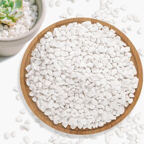 Sukh White Pebbles for Indoor Plants - 1/5 Inch Natural Decorative White Rocks,Polished River Stones,Small Pebbles for Succulent and Cactus,Outdoor Gardening,Vases,Landscaping,Fish Tank