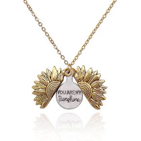 Wing Photo Locket Necklace for Women for Women 4 Pictures Frame Chain Charms Multi Layer Vintage Expanding Picture Box Pendant Mother's Day Valentine Birthday Gift Jewelry (silver, Rose Gold) in Kuwait