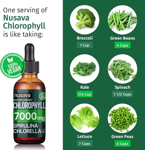 (4 Pack) 4-in-1 Vegan Chlorophyll Liquid Drops 7000mg for Immune Support, Energy, Gut and Skin Health - Liquid Chlorophyll - Internal Deodorant Enriched with Chlorella, Spirulina, & Copper, 8 Fl Oz in Saudi Arabia