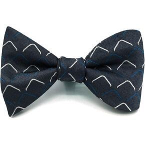S & W Shlax & Wing Silk Rights for Men Neckties Extra Gray Gray مطابقة