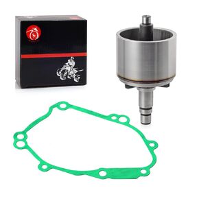 Magneto Stator Flywheel Rotor and Gasket Compatible with Yamaha YZF-R1 R1 FZ1 FZ8 FZS1 2004-2016 2D1-81410-10-00