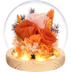 Gifts for Women, Flowers for Delivery Prime, Preserved Real Rose in Glass Dome with LED Light, Gifts Idea for Women Wife Mom Grandma on Anniversary Birthday Mothers Day