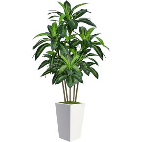 6FT Artificial Dracaena Tree, Fake Tree Indoor with White Tall Planter,Tall Artificial Plants Indoor,Artificial Silk Tree for Home Office Decor,Housewarming Gift (White)