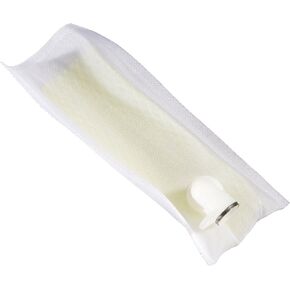 Delphi FS0197 Fuel Strainer