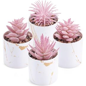 Der Rose 4 Packs Placks Plants Plants Plants INGITALANTIAL INDOOR لملحقات مكتب المكاتب المنزلية للنساء