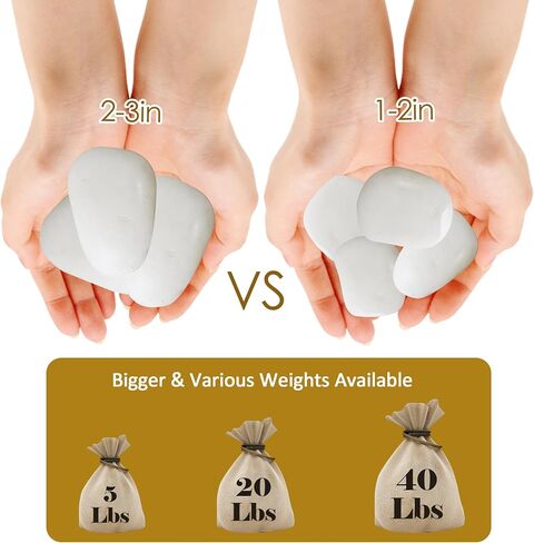 Sunnyglade 5 رطل الصخور النهر الأبيض ، 2-3 بوصة الحصى الطبيعية للنباتات الداخلية ، حجارة مزورة عالية مصقولة مزهرية حشو أسماك السمك المناظر الطبيعية في الهواء الطلق والداخلية DIY (5 أرطال) in Saudi Arabia