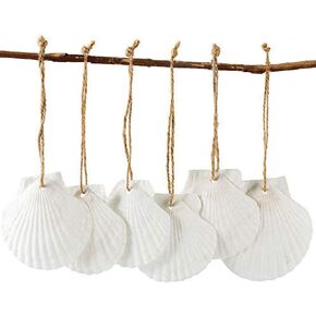 16pcs قذائف البحر الطبيعية 2.5 "-3.5" قذائف الأسقلوب المثقبة مع حبل ، لحلي شجرة عيد الميلاد و DIY شنقا قذائف الحرف ديوقراوي