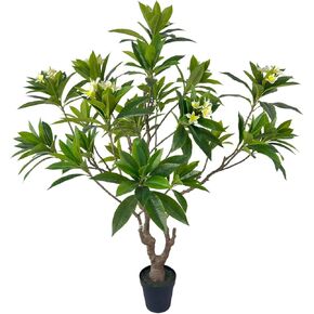 Artificial PlumeriaTree with White Flowers, 7 ft Tall, Potted Plumeria Plant for Indoor Office Living Room Bedroom Garden