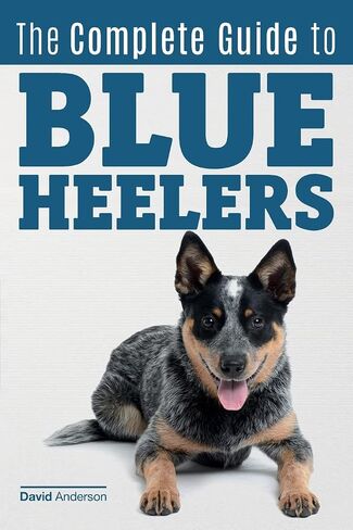 الدليل الكامل إلى Blue Heelers - المعروف أيضًا باسم كلب الماشية الأسترالي. تعرف على المربين ، وإيجاد جرو ، والتدريب ، والتنشئة الاجتماعية ، والتغذية ، والاستمالة ، والرعاية الصحية. أكثر من 50 صورة مشمولة! in Saudi Arabia