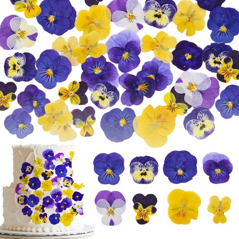 40 Pcs 8 Kinds Natural Dried Pressed Edible Flowers for Cake Topper Decorating - Mix Viola Tricolor for Cupcake Toppers, Cocktails, Resin Jewelry Making, DIY Art Crafts in Saudi Arabia