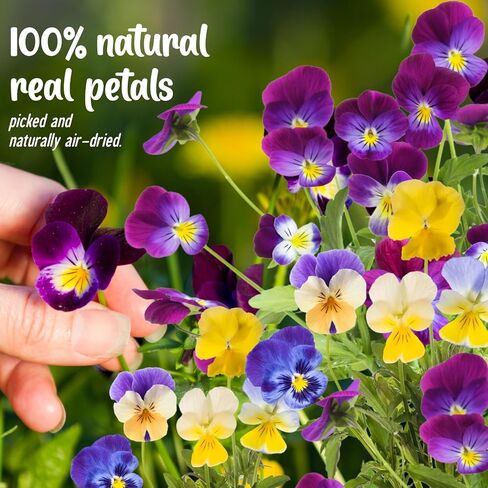 40 Pcs 8 Kinds Natural Dried Pressed Edible Flowers for Cake Topper Decorating - Mix Viola Tricolor for Cupcake Toppers, Cocktails, Resin Jewelry Making, DIY Art Crafts in Saudi Arabia