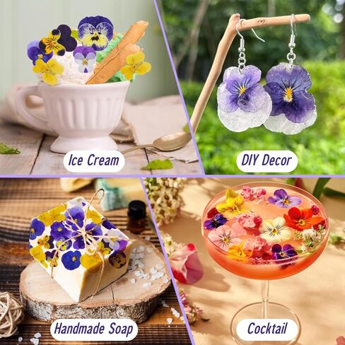 40 Pcs 8 Kinds Natural Dried Pressed Edible Flowers for Cake Topper Decorating - Mix Viola Tricolor for Cupcake Toppers, Cocktails, Resin Jewelry Making, DIY Art Crafts in Saudi Arabia