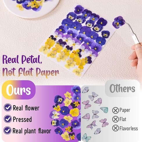 40 Pcs 8 Kinds Natural Dried Pressed Edible Flowers for Cake Topper Decorating - Mix Viola Tricolor for Cupcake Toppers, Cocktails, Resin Jewelry Making, DIY Art Crafts in Saudi Arabia