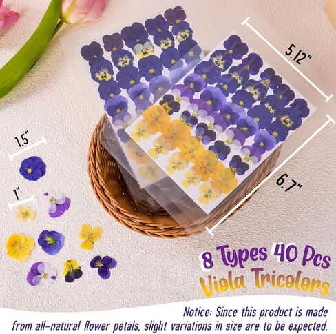 40 Pcs 8 Kinds Natural Dried Pressed Edible Flowers for Cake Topper Decorating - Mix Viola Tricolor for Cupcake Toppers, Cocktails, Resin Jewelry Making, DIY Art Crafts in Saudi Arabia