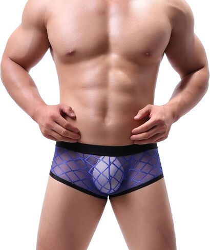 SEE Evankin Men's See Through Sexy Boxer Boxer Boxer Boxer Boxer Sexy Male Mesh Pants Lingerie Bikini Intelpants in Kuwait