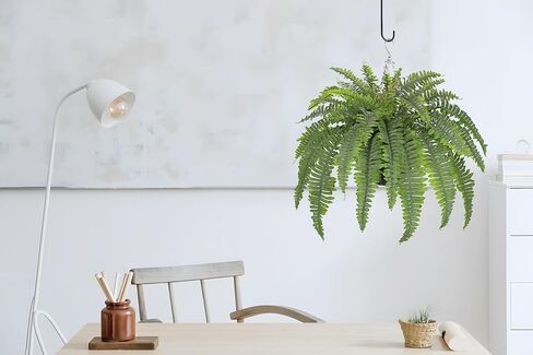 Hollyone 33" Artificial Boston Fern Hanging Basket Large 39 Leaves Fake Ferns in Rattan Pot Greenery Plants for Outdoors & Indoor Faux Fern Bush Basket Plant Patio Garden Home Decor Dusty Green in Kuwait