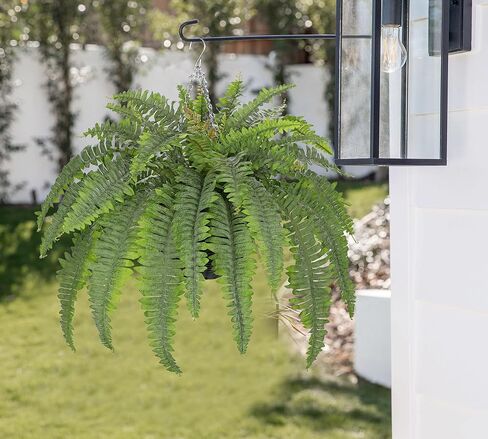 Hollyone 33" Artificial Boston Fern Hanging Basket Large 39 Leaves Fake Ferns in Rattan Pot Greenery Plants for Outdoors & Indoor Faux Fern Bush Basket Plant Patio Garden Home Decor Dusty Green in Kuwait